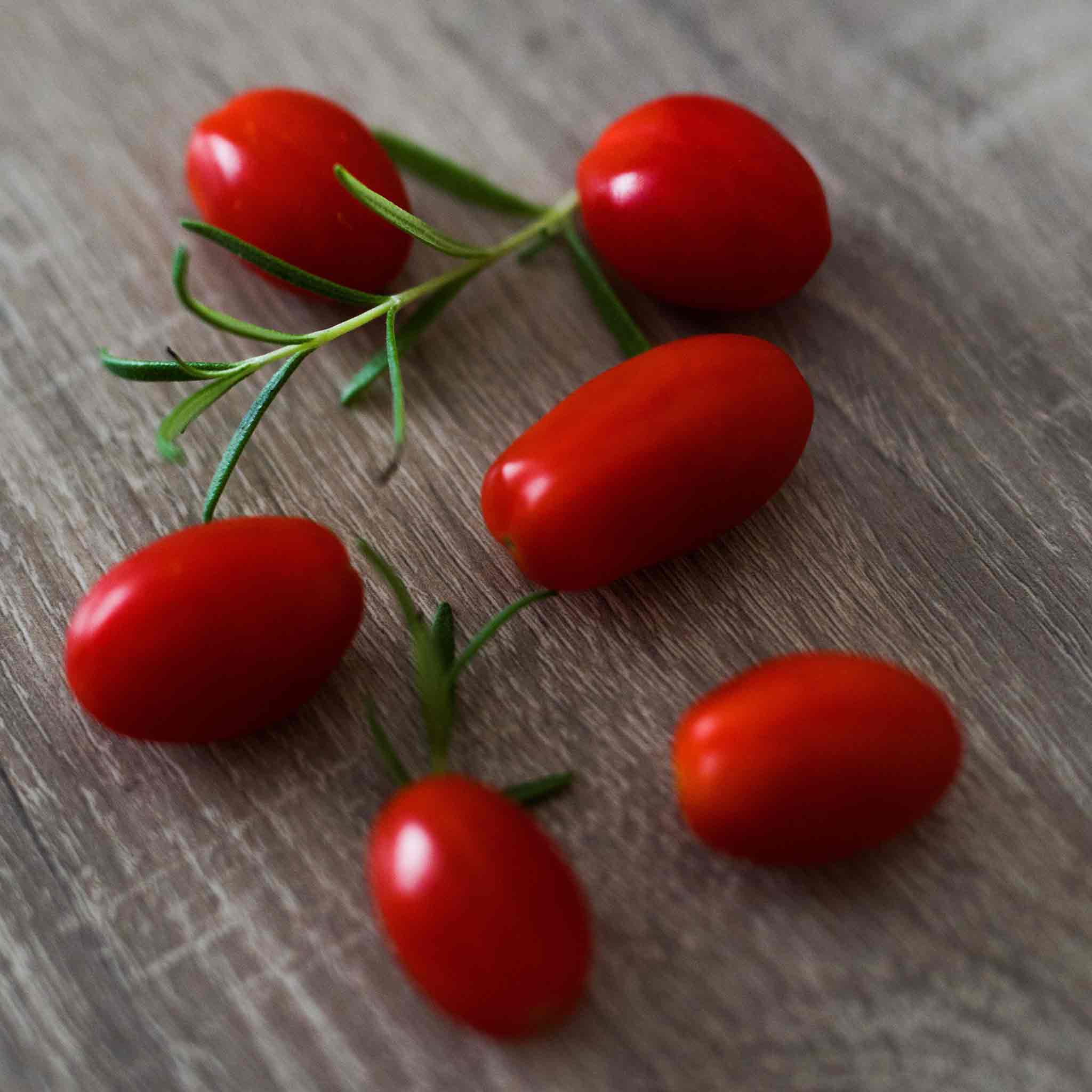 Goji Berry Plant - Image 6