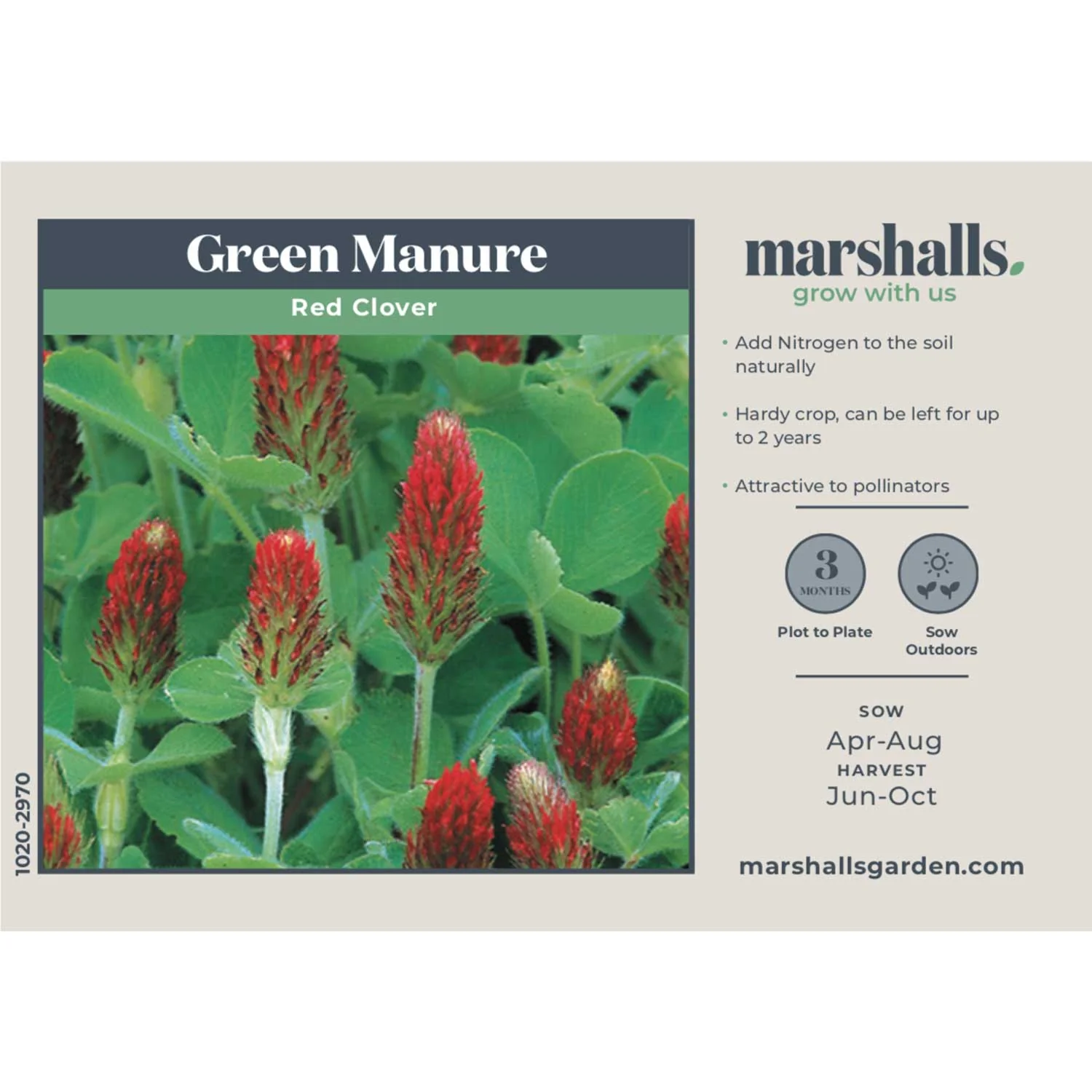 Green Manure Seeds 'Red Clover' - Image 4