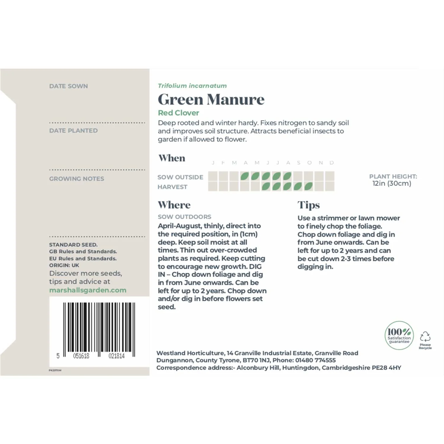 Green Manure Seeds 'Red Clover' - Image 5