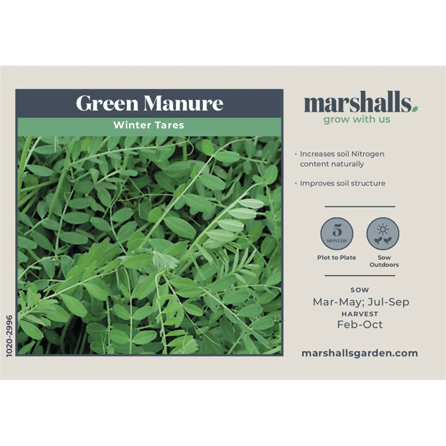 Green Manure Seeds 'Winter Tares' - Image 2