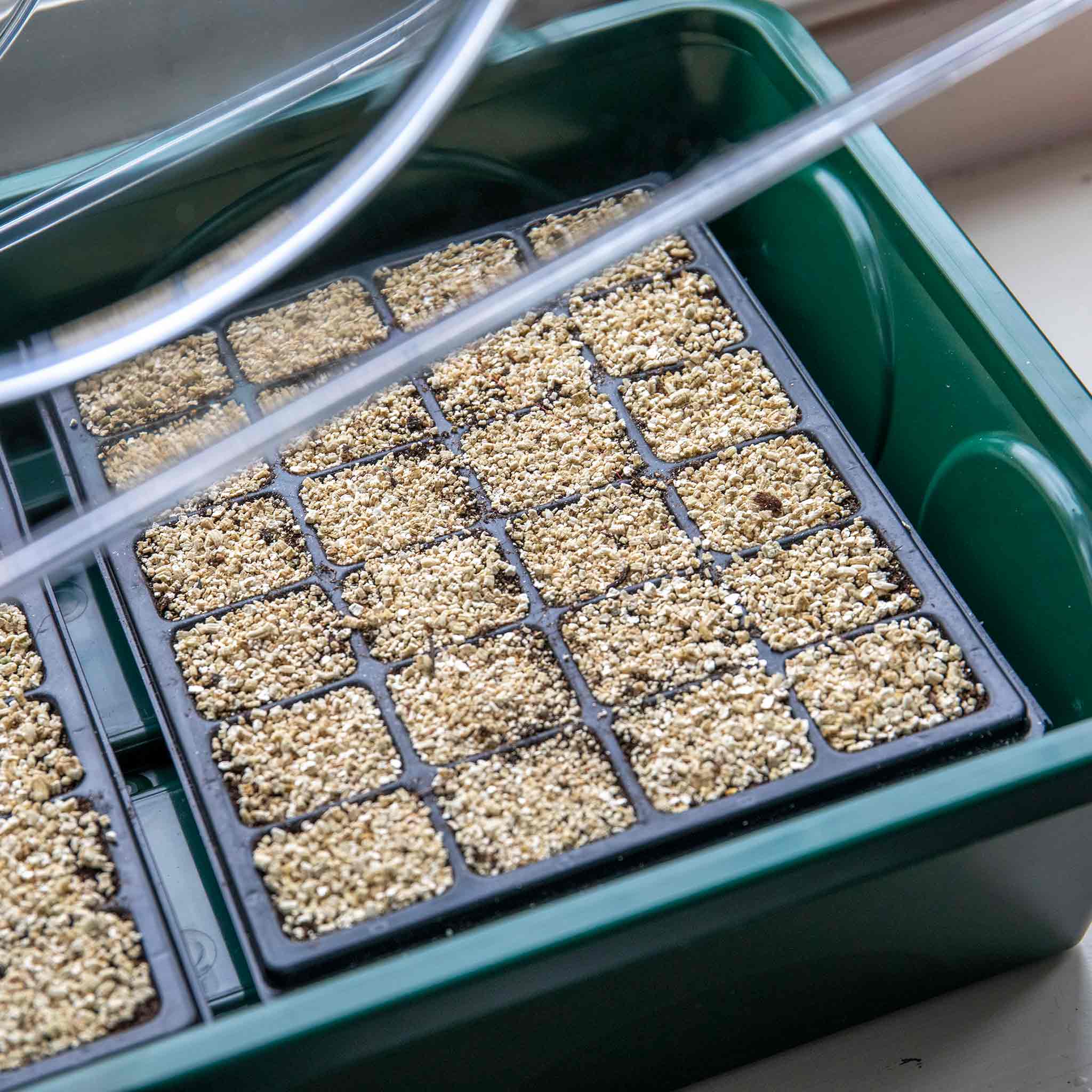 Heated Medium Propagator - Image 2