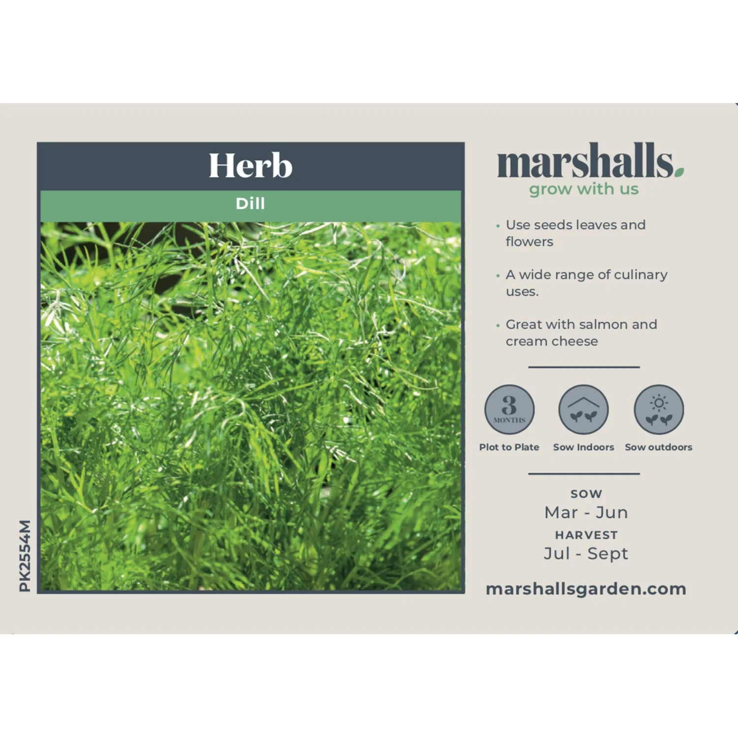 Dill Seeds - Image 4