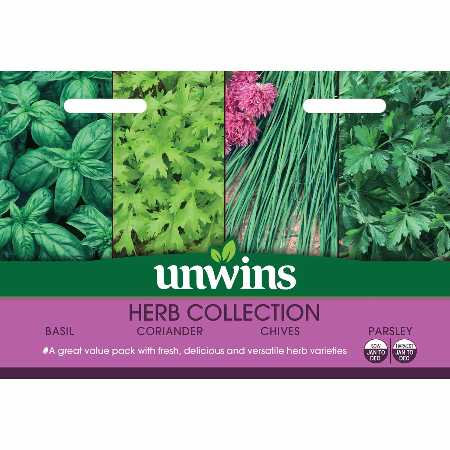 Herb Seeds Collection - Image 2