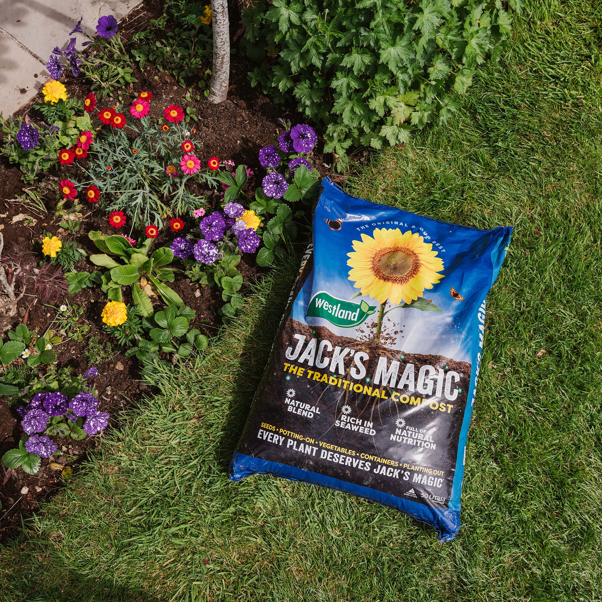 Jack's Magic All-Purpose Compost 50L - Image 7