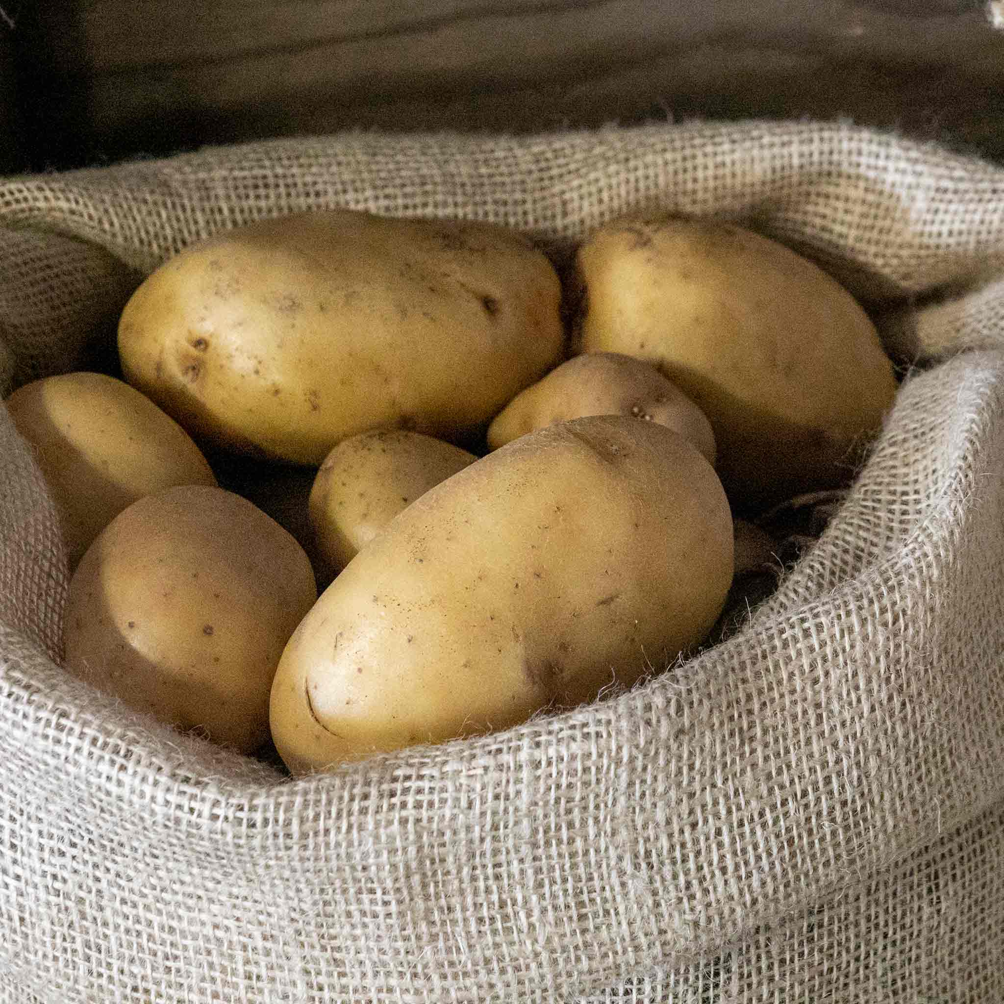 Hessian Sacks - Image 9