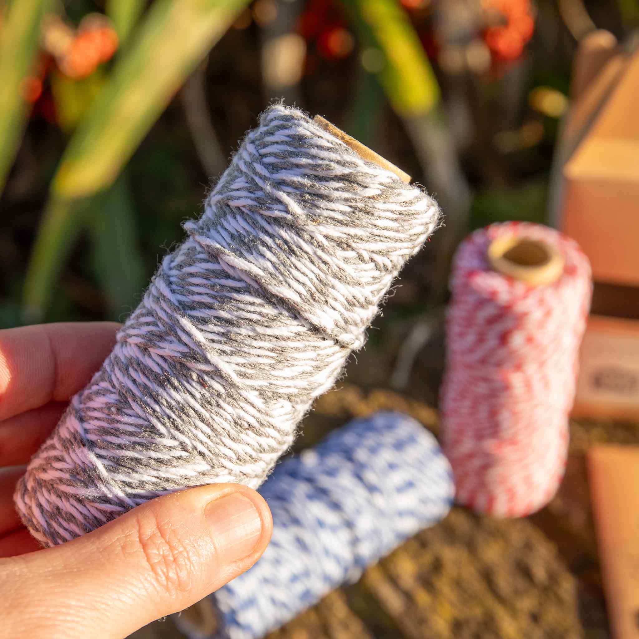 Kent & Stowe Dig for Victory Cotton Twine Set - Image 3