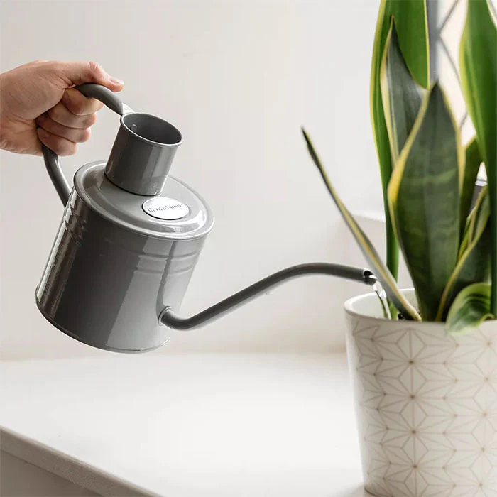 Kent & Stowe Indoor Watering Can 1L - Image 8