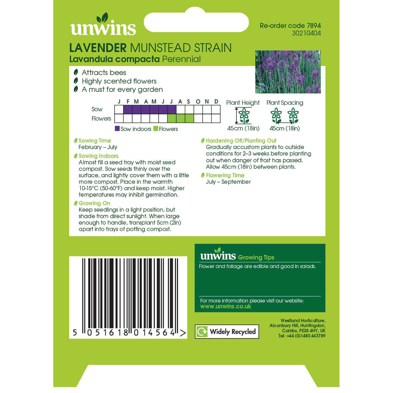 Lavender Seeds 'Munstead Strain Flower' - Image 5