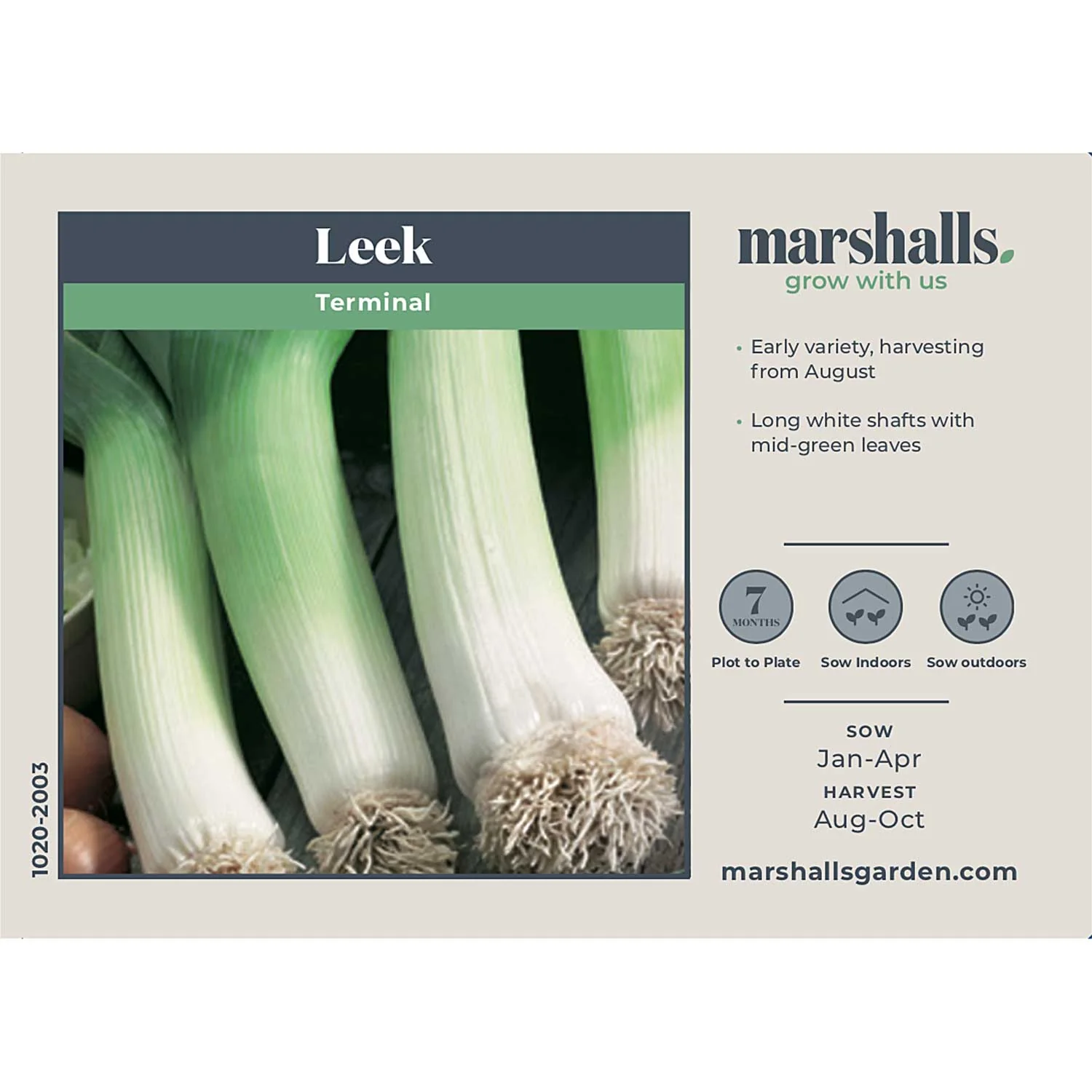 Leek Seeds 'Terminal' - Image 4