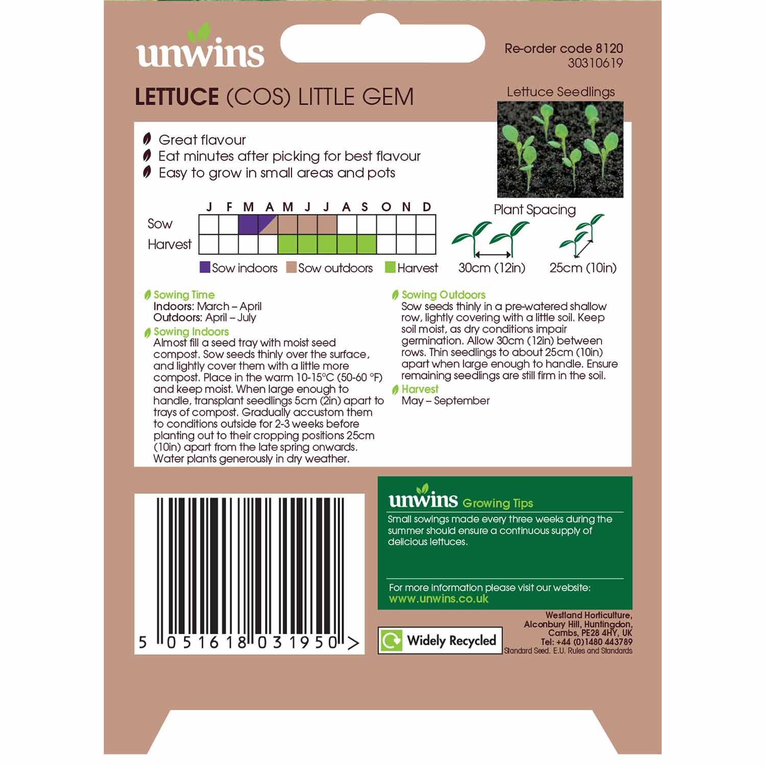 Unwins Lettuce Seeds 'Little Gem' - Image 3