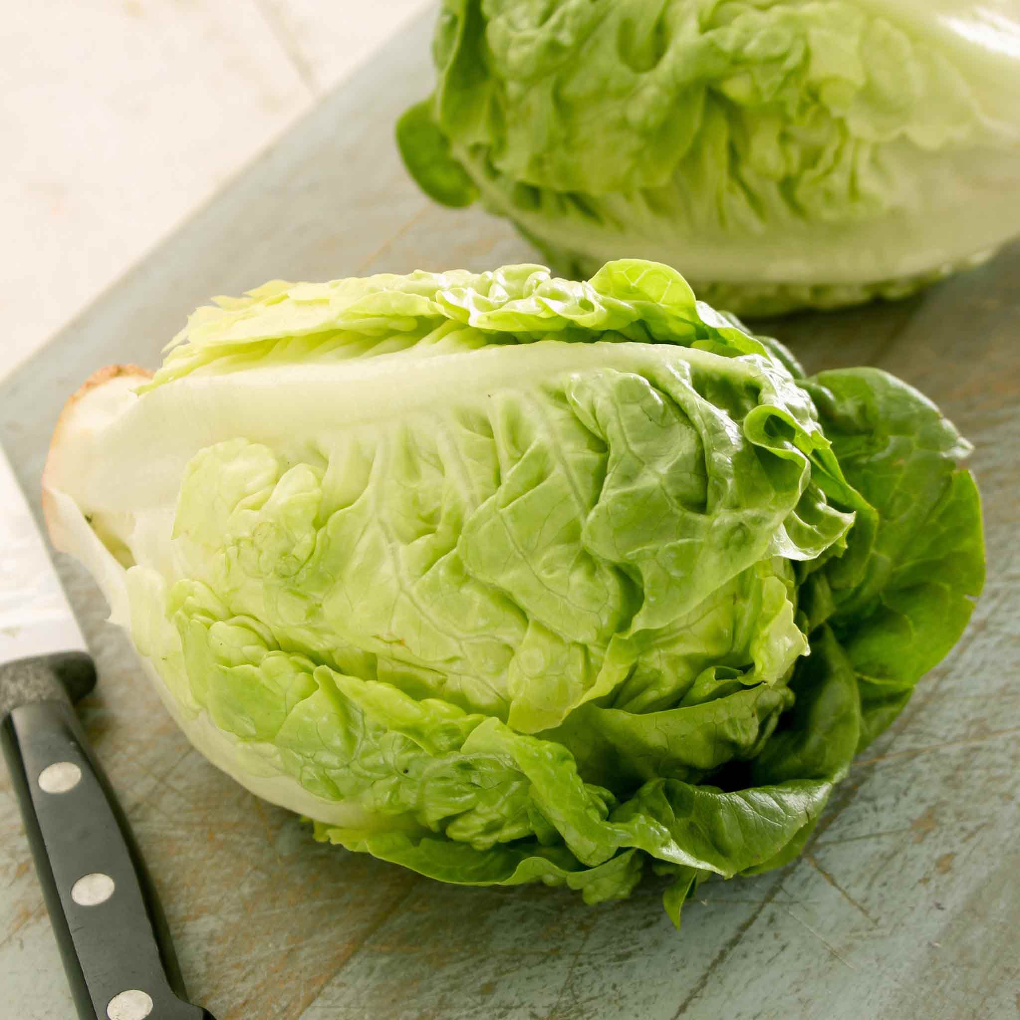 Lettuce 'Little Gem' - Image 4