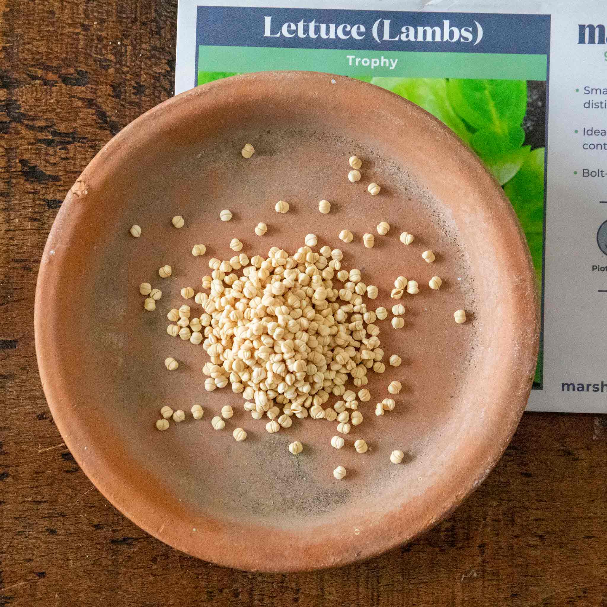 Lettuce Seeds 'Trophy Lambs' - Image 2