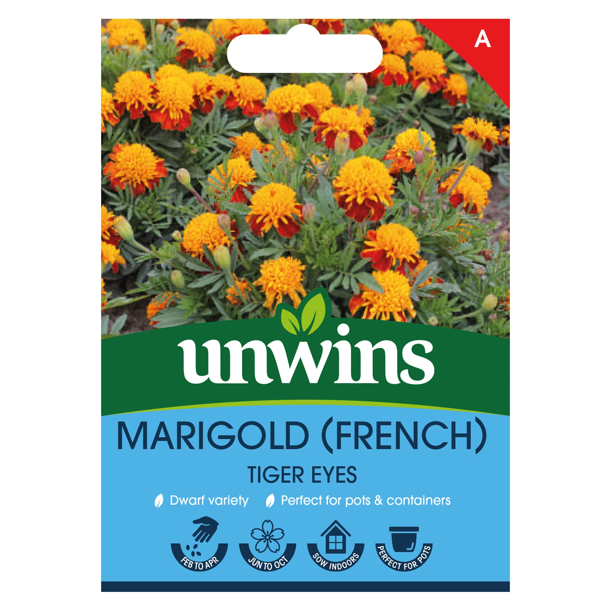 French Marigold Seeds 'Tiger Eyes' - Image 2