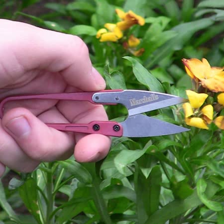 Marshalls Micro Snips