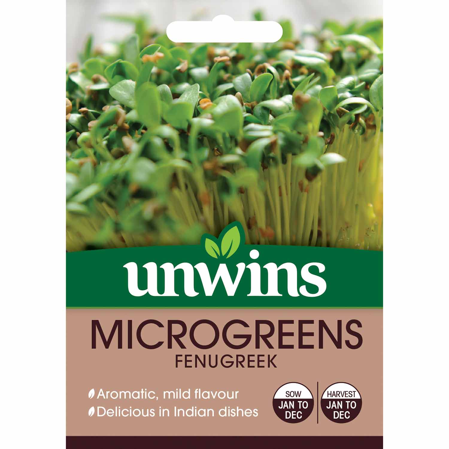 Microgreens Seeds 'Fenugreek' - Image 2