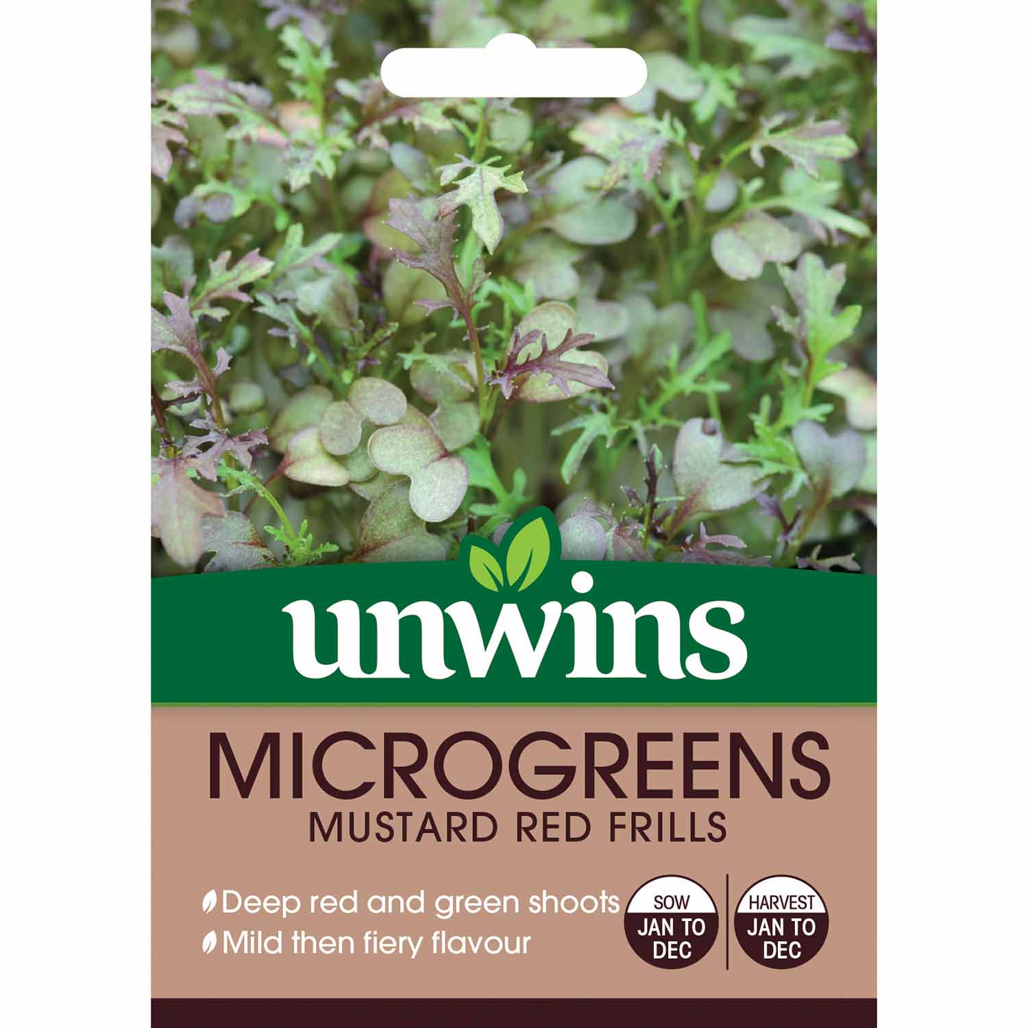 Microgreens Seeds 'Mustard Red Frills' - Image 2