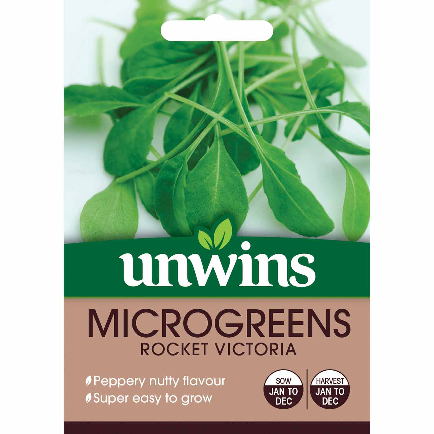 Microgreens Seeds Rocket 'Victoria' - Image 2
