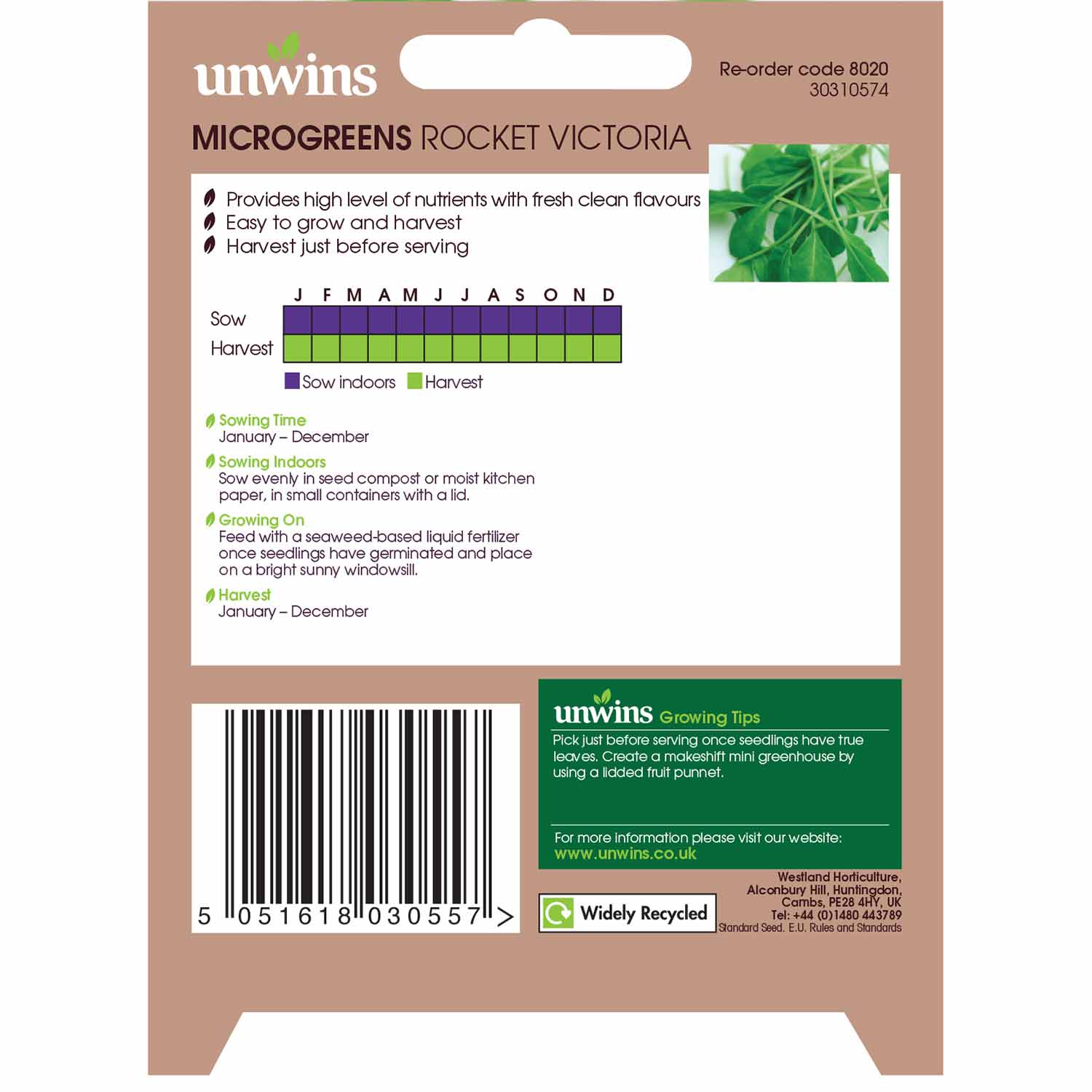 Microgreens Seeds Rocket 'Victoria' - Image 3
