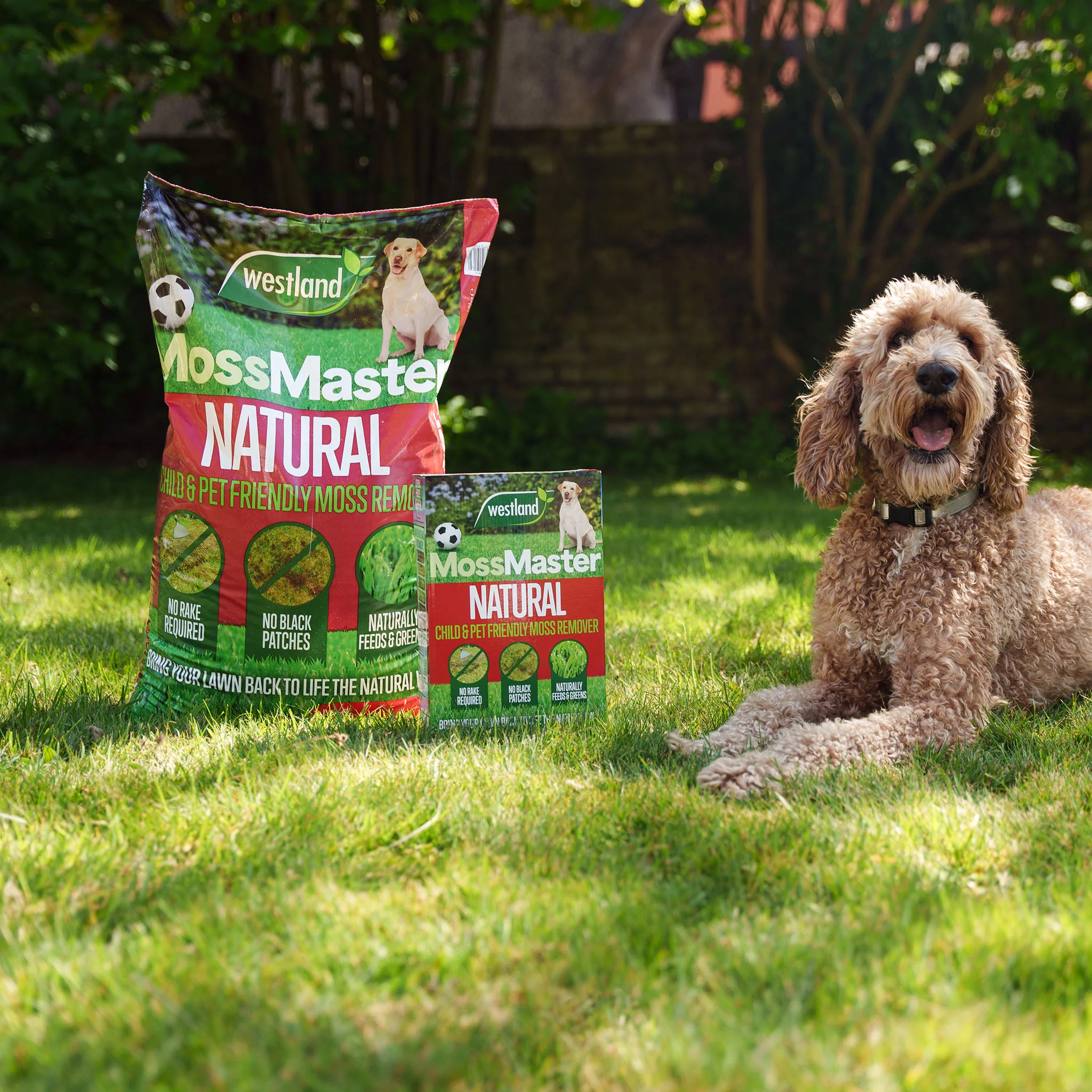 Natural Lawn Rescue Bundle - Image 3
