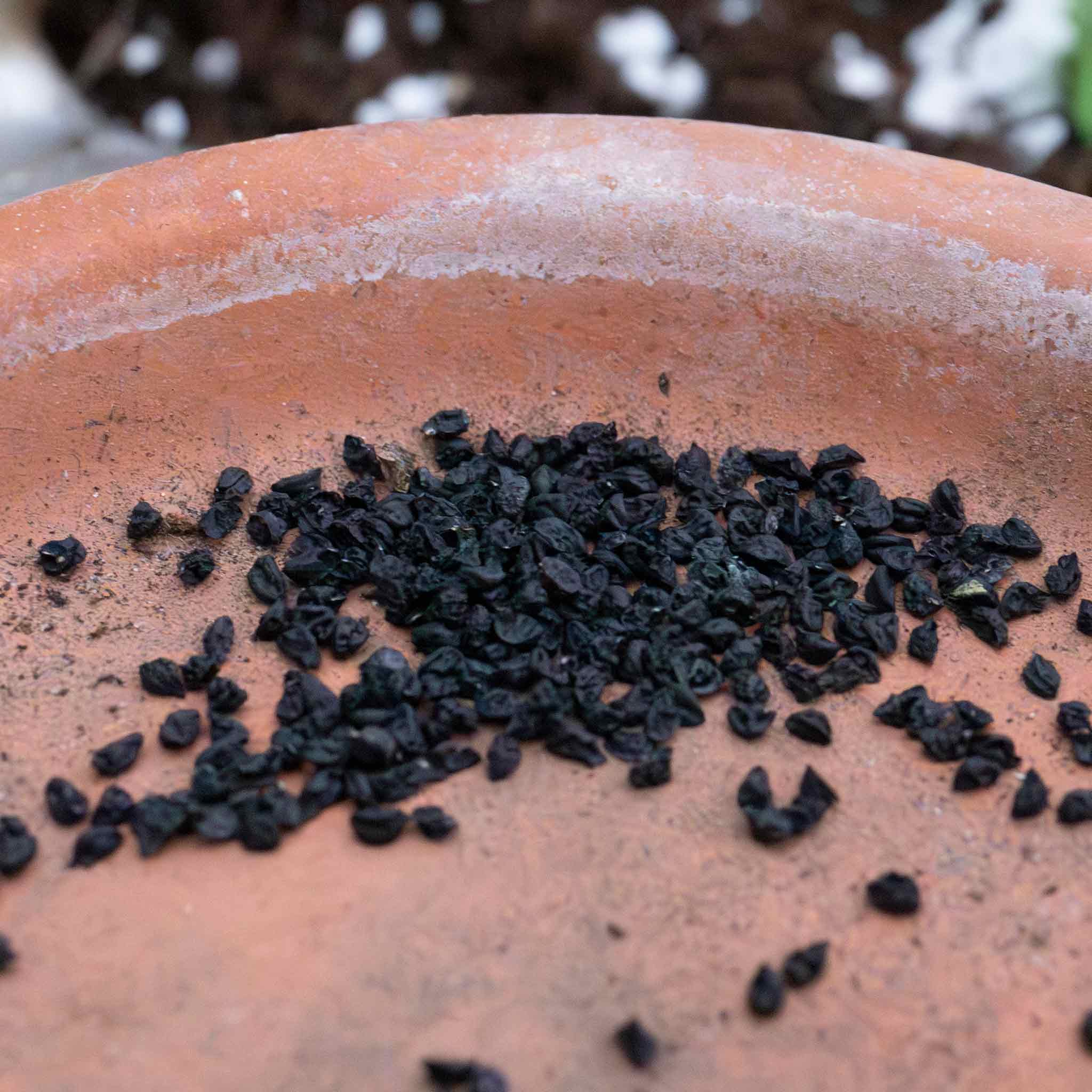 Onion Seeds 'Ruby Red' - Image 2