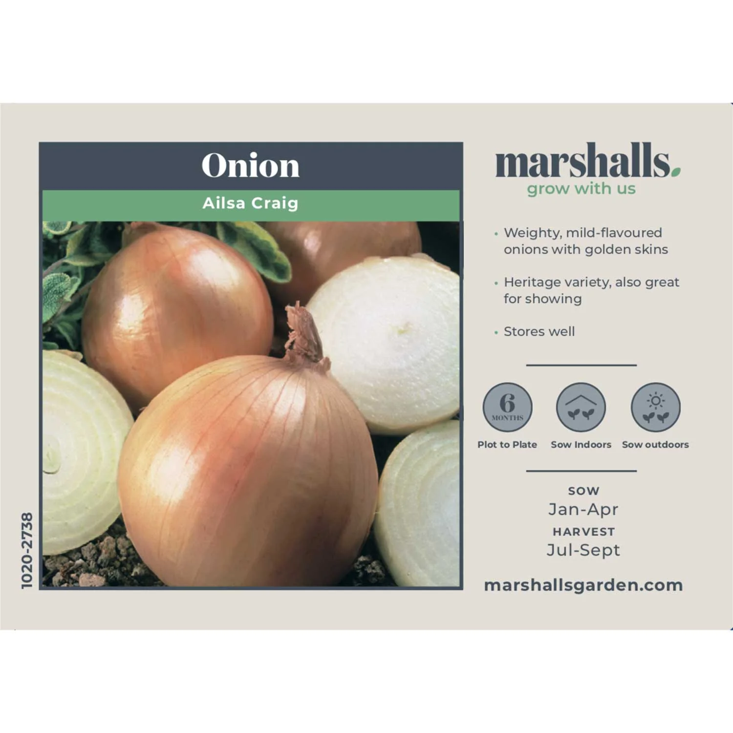 Onion Seeds 'Ailsa Craig' - Image 4