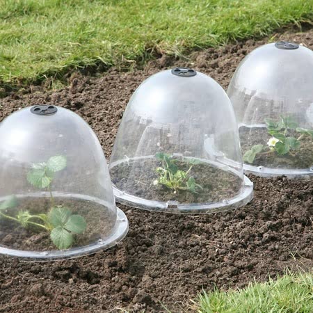 Victorian Bell Cloche - Image 2