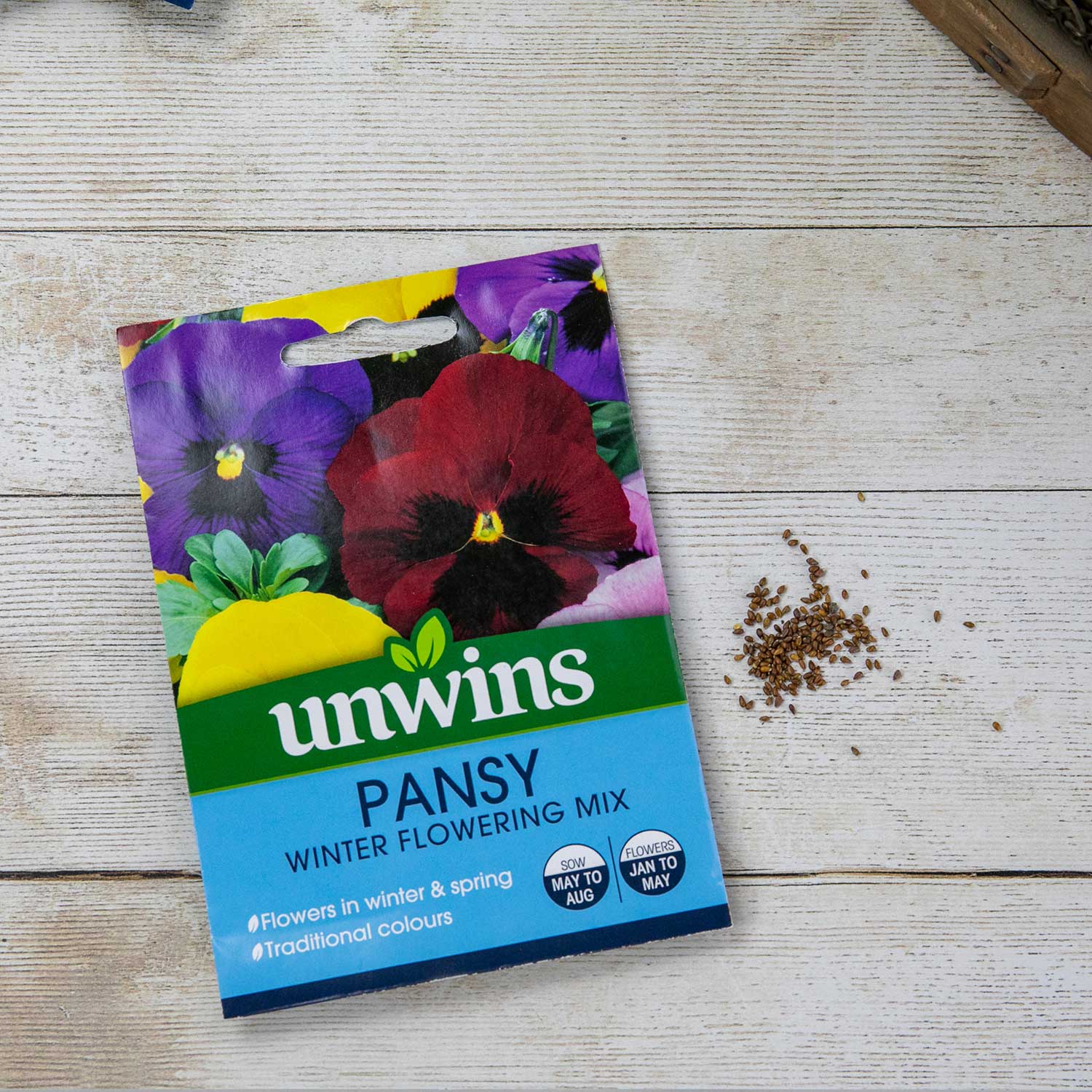 Pansy Seeds 'Winter Flowering Mix ' - Image 4