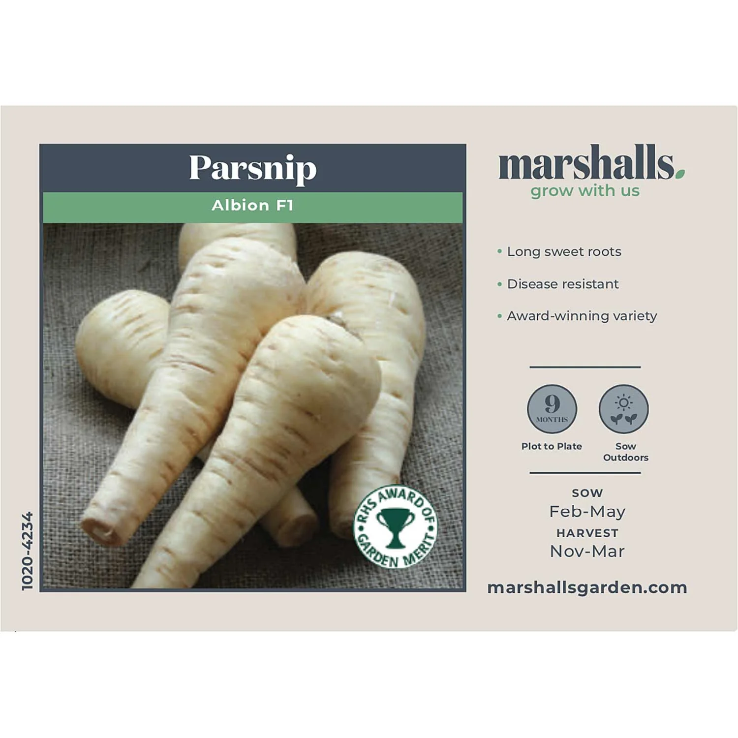 Parsnip Seeds 'Albion' F1 - Image 4