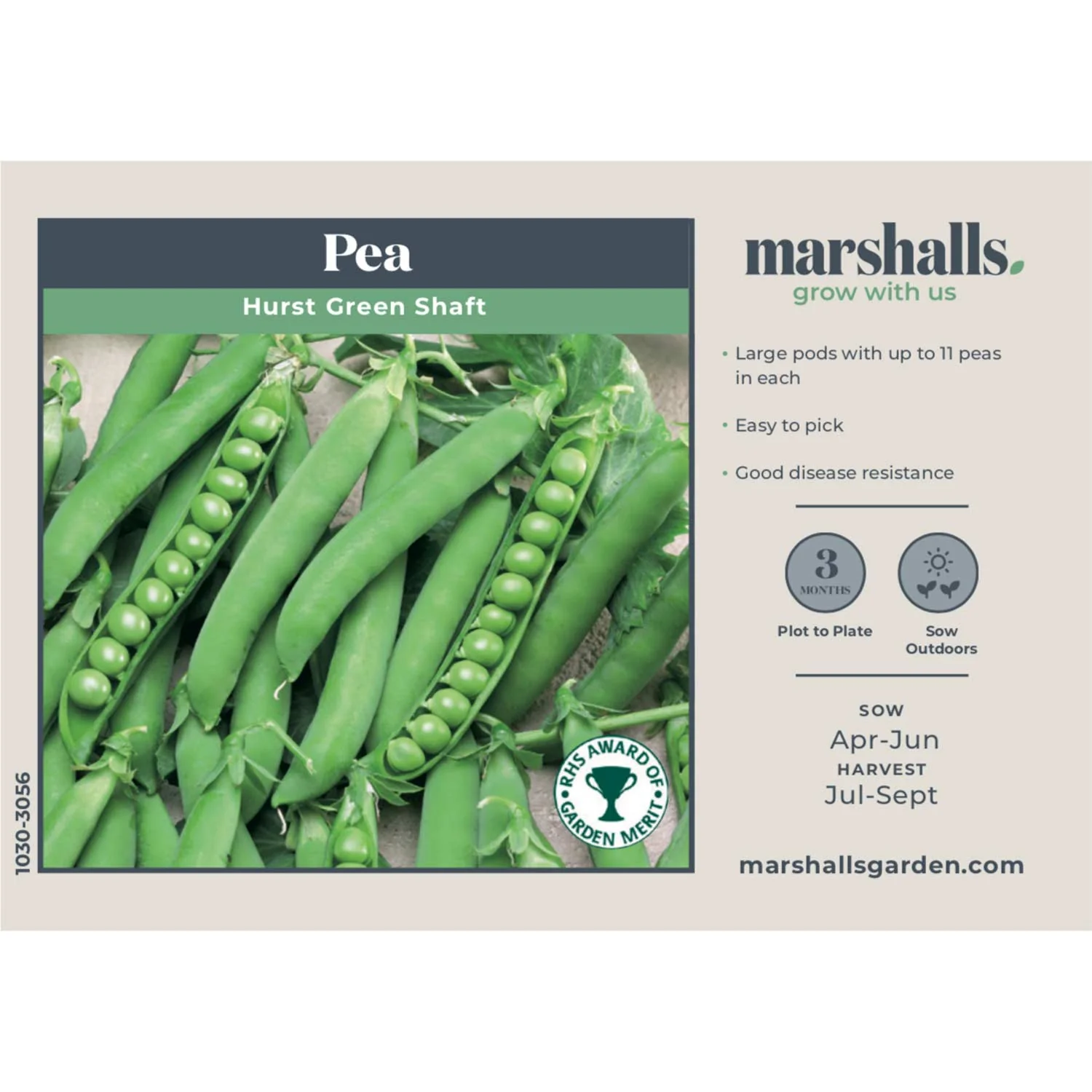 Pea Seeds 'Hurst Green Shaft' - Image 4