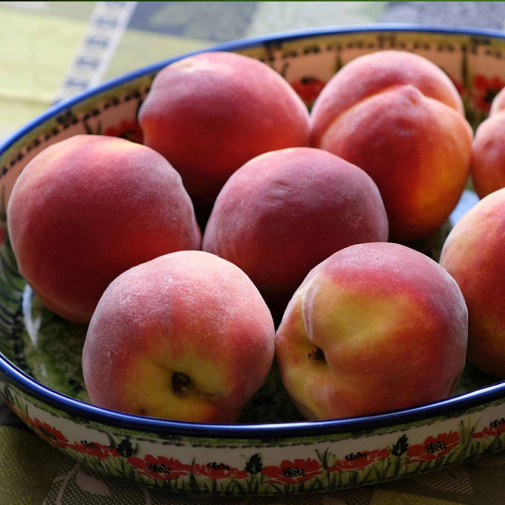 Peach 'Suncrest' - Image 4