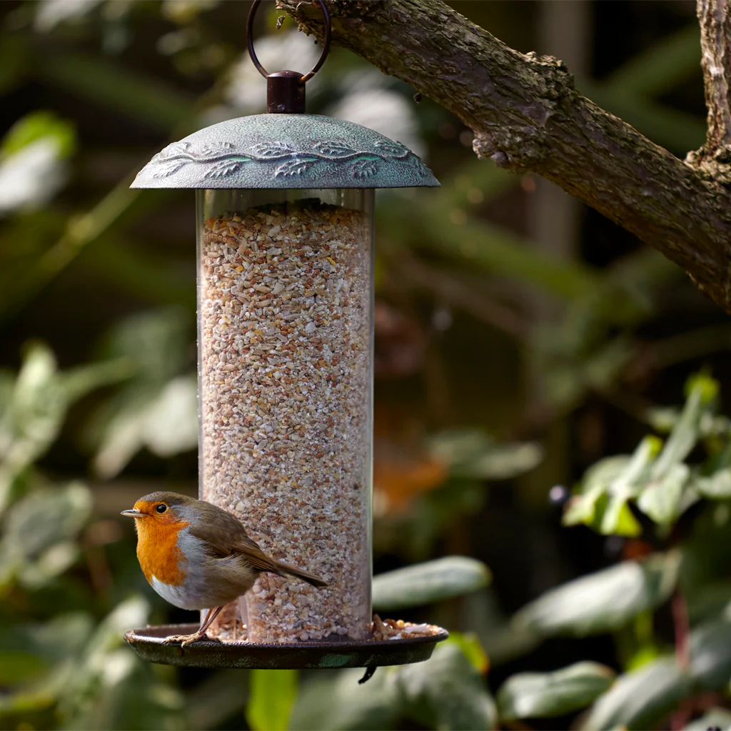 Peckish Complete Seed & Nut Mix - Image 3