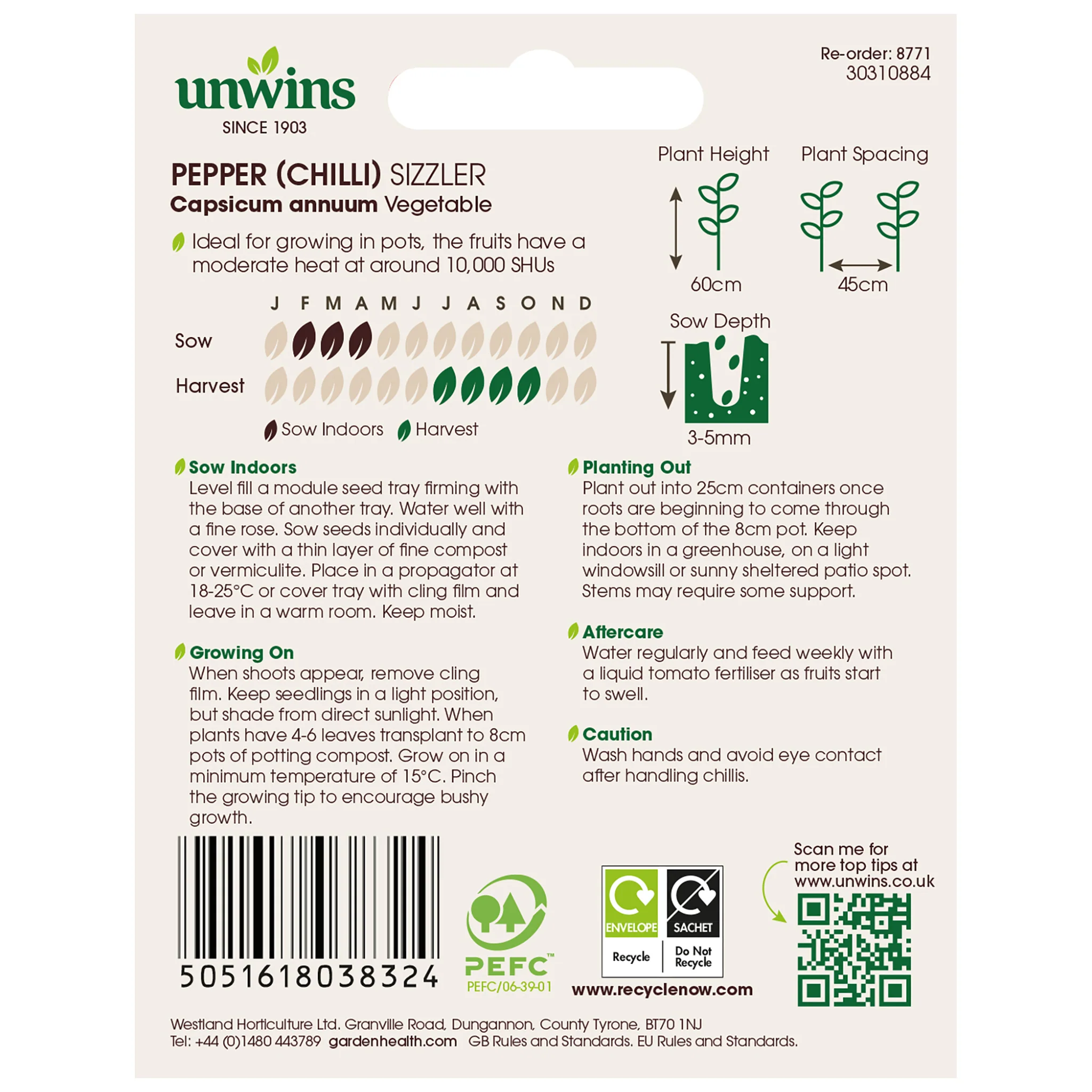 Chilli Pepper Seeds 'Sizzler' - Image 4