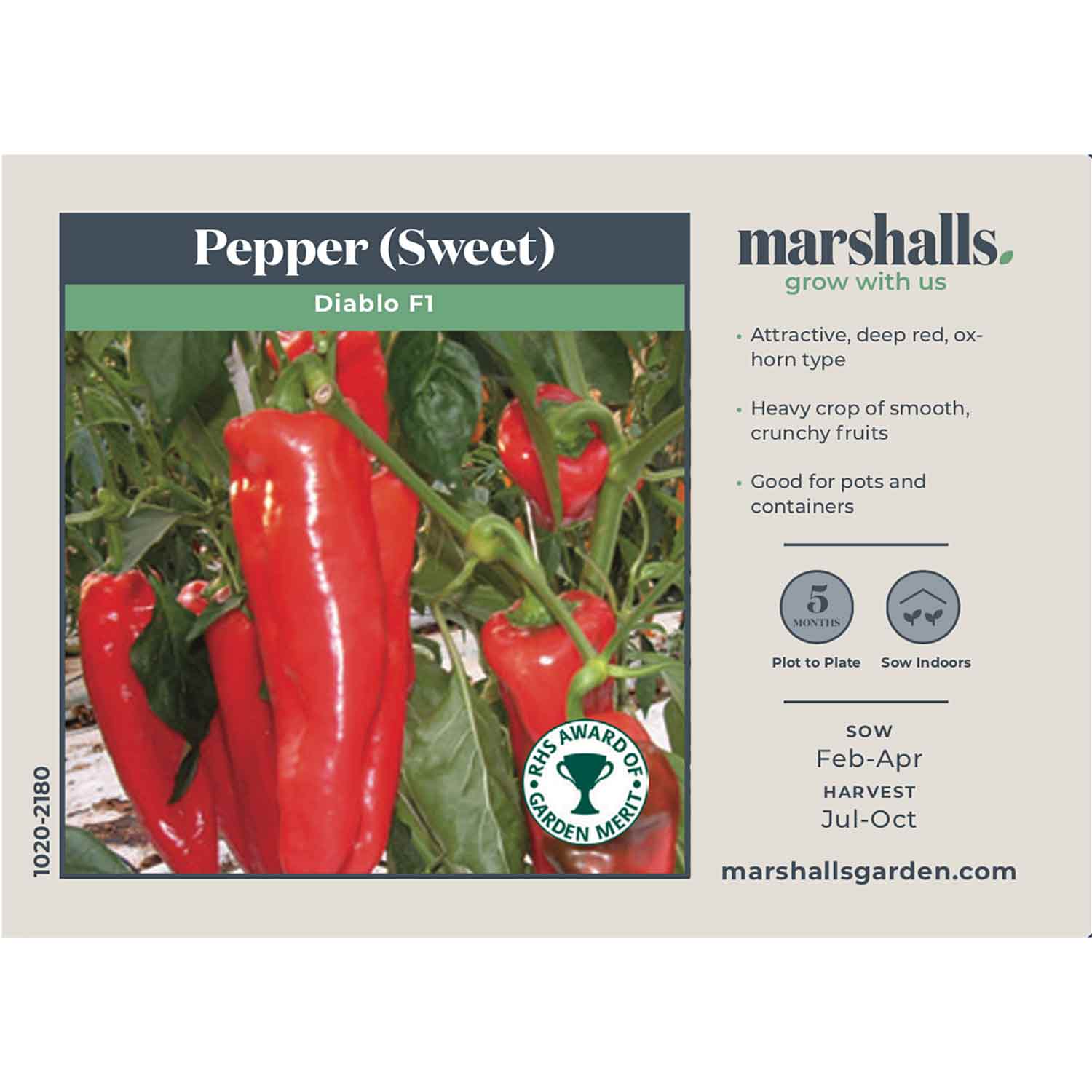 Pepper Seeds 'Diablo' F1 - Image 2