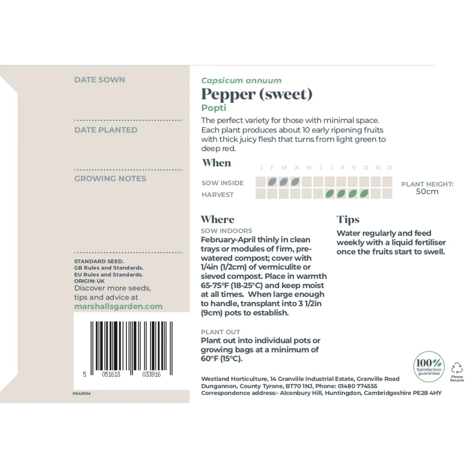 Pepper Seeds 'Sweet Popti' - Image 3