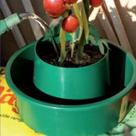Plant Growing Halo x3 - Image 6