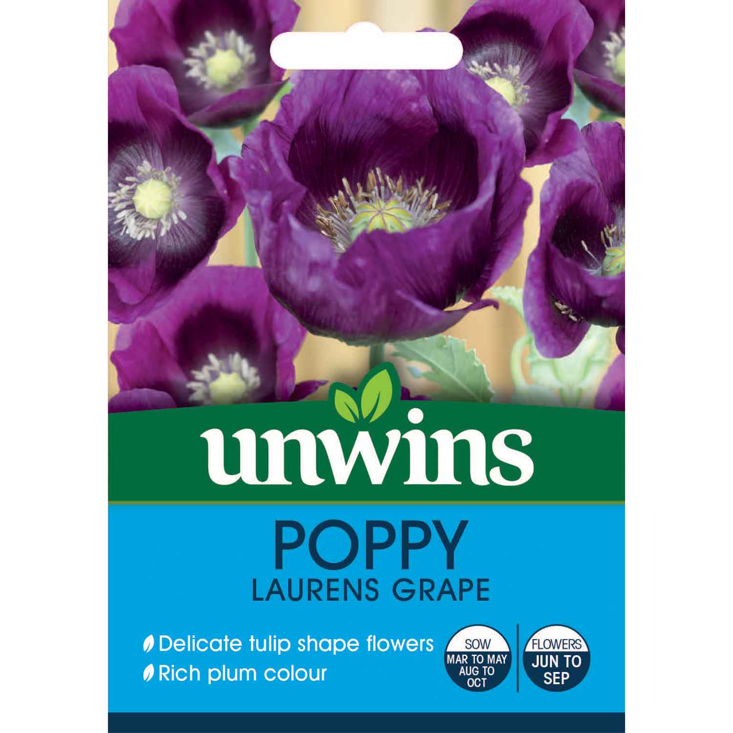 Poppy Seeds 'Lauren's Grape' - Image 4