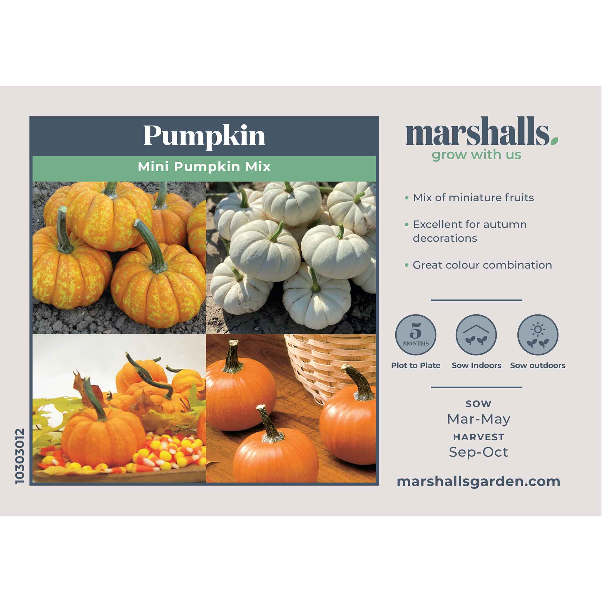 Pumpkin Seeds Mini Mix - Image 2