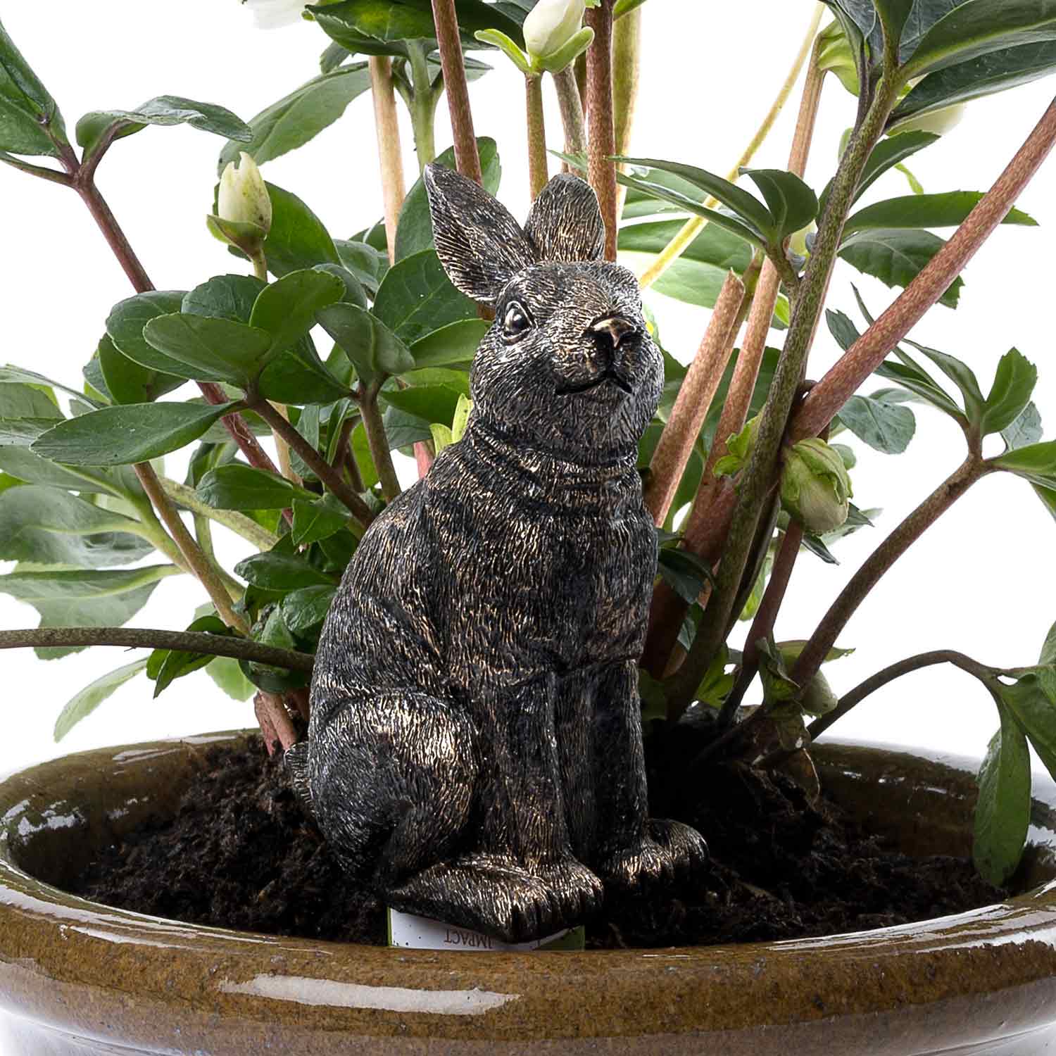 Rabbit Drip Feed Topper - Image 2