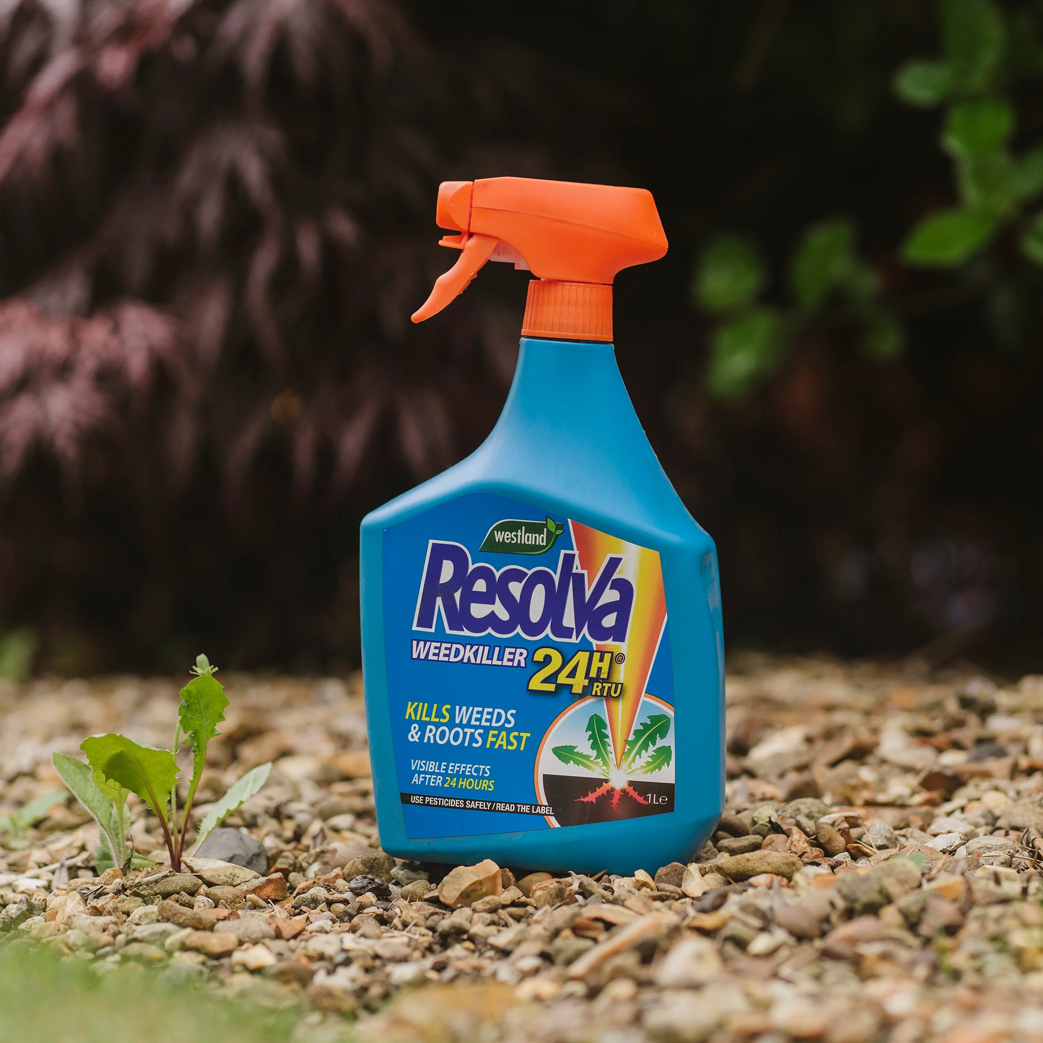 Resolva 24H Ready To Use Weedkiller