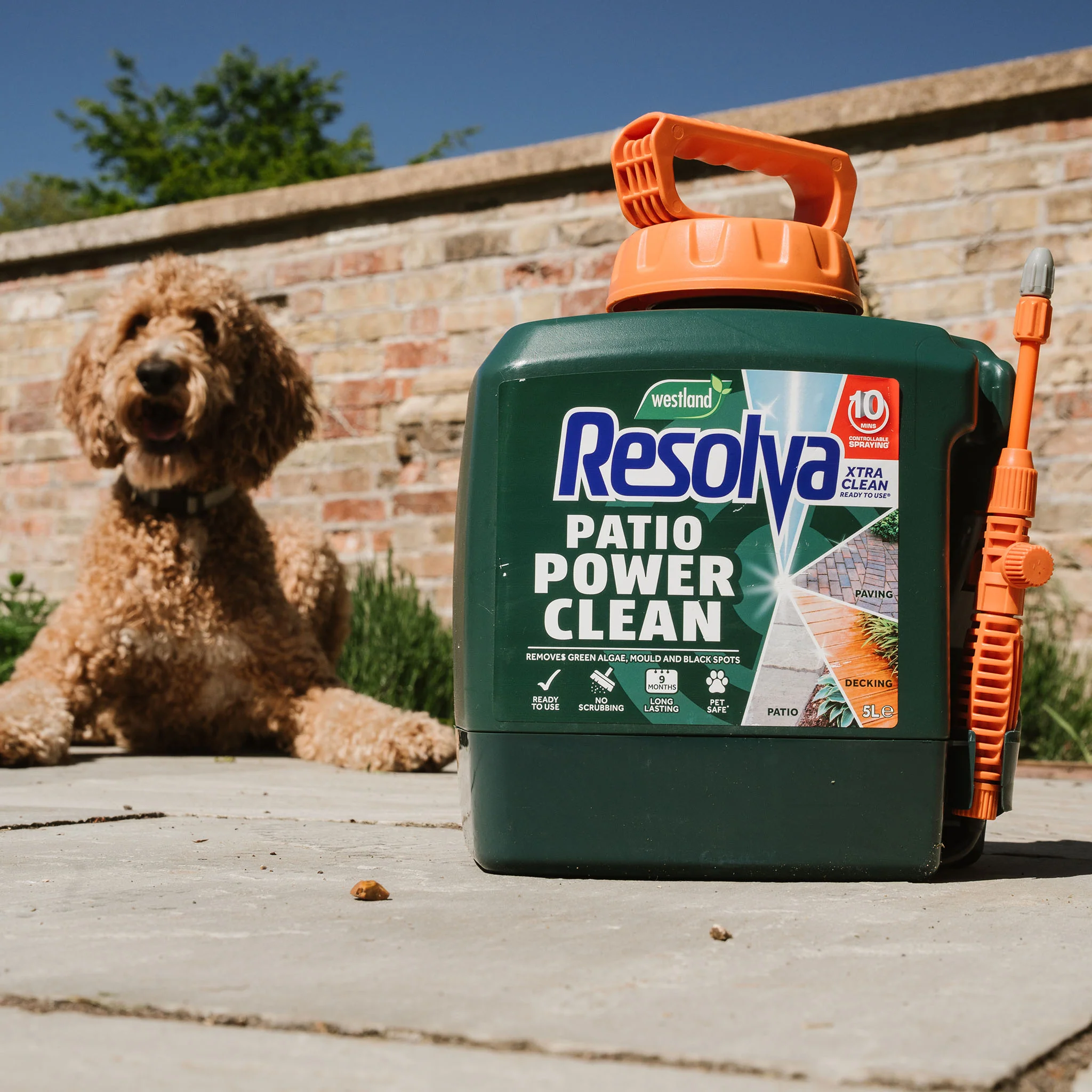 Resolva Xtra Clean and Path & Drive Weedkiller Bundle - Image 10