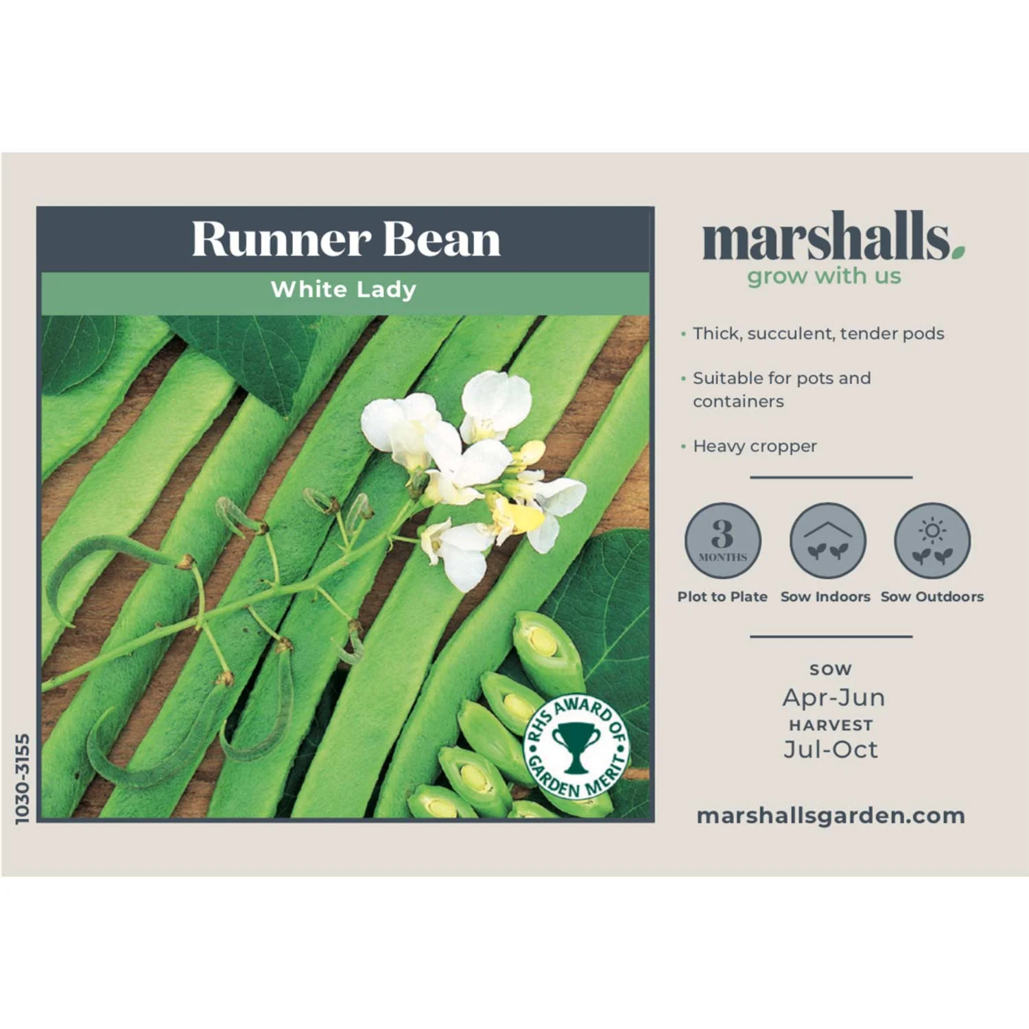 Runner Bean Seeds 'White Lady' - Image 4