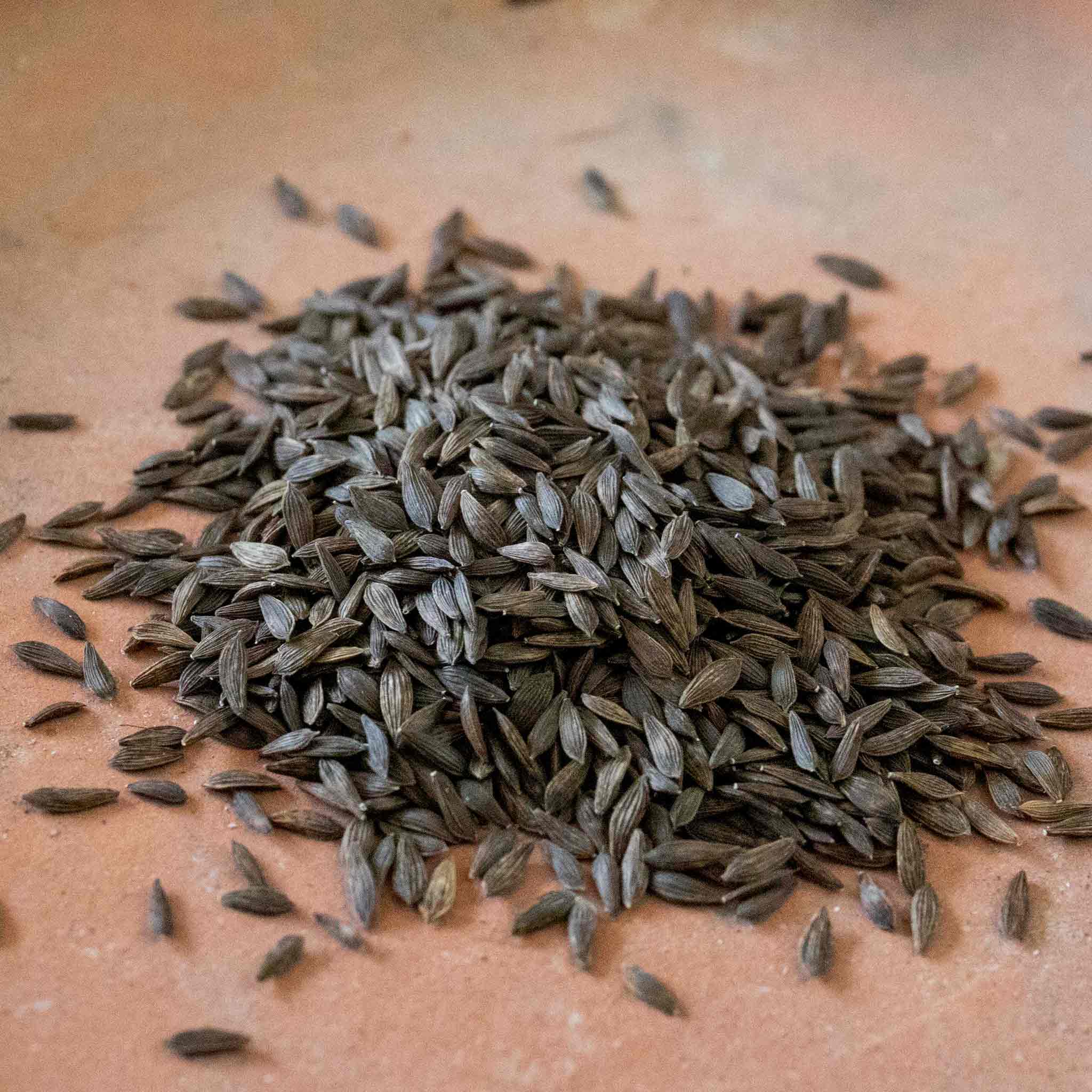 Salad Leaves Seeds 'Salad Bowl' - Image 2