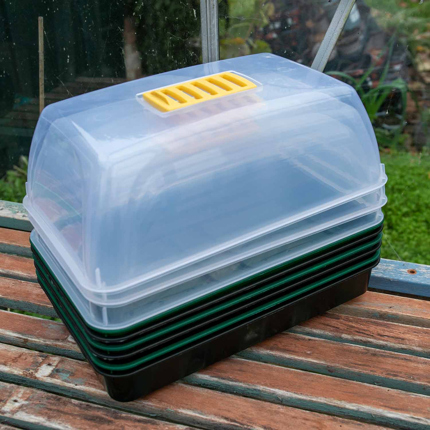 Seed Propagator Kit Medium - Image 3