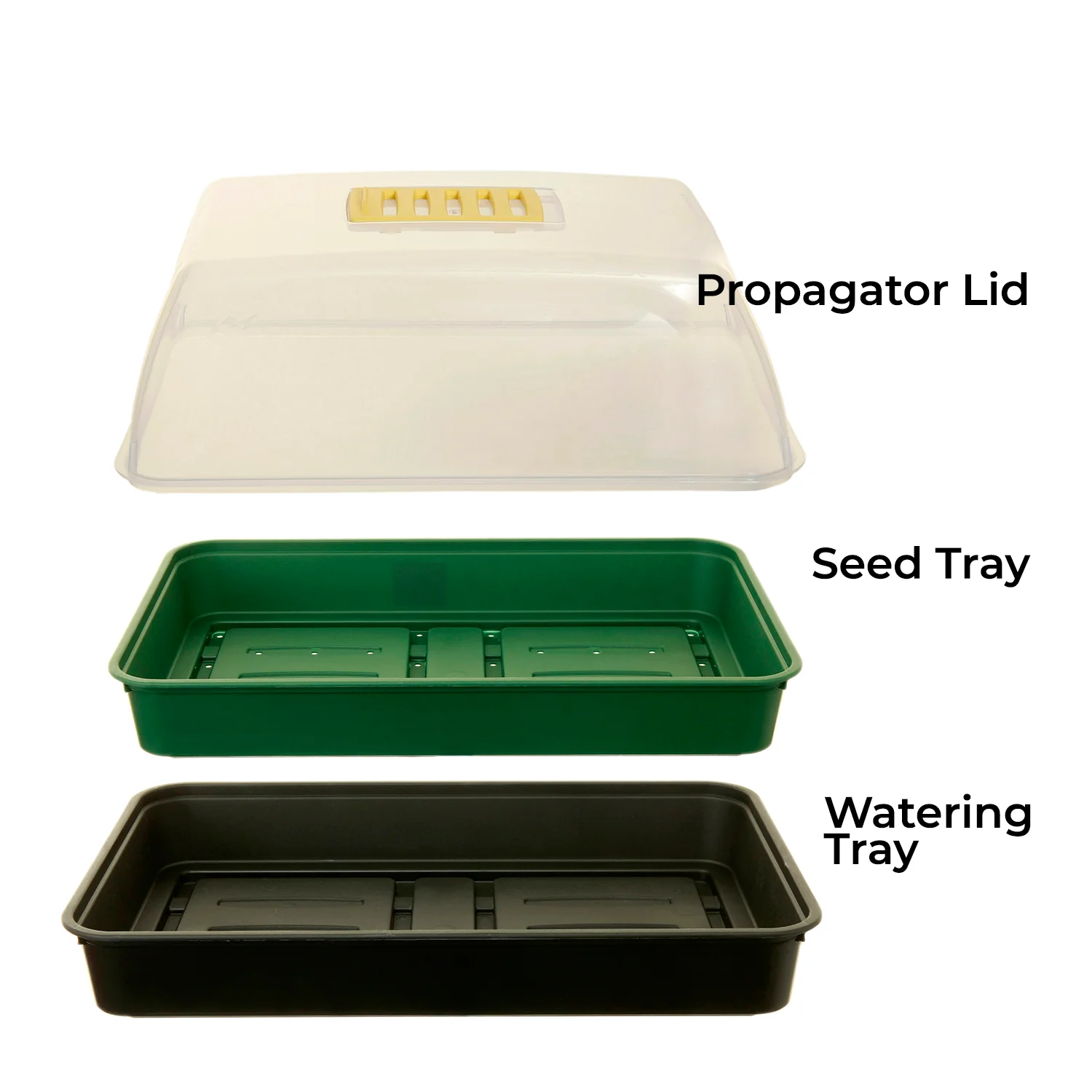 Seed Propagator Kit Medium - Image 5