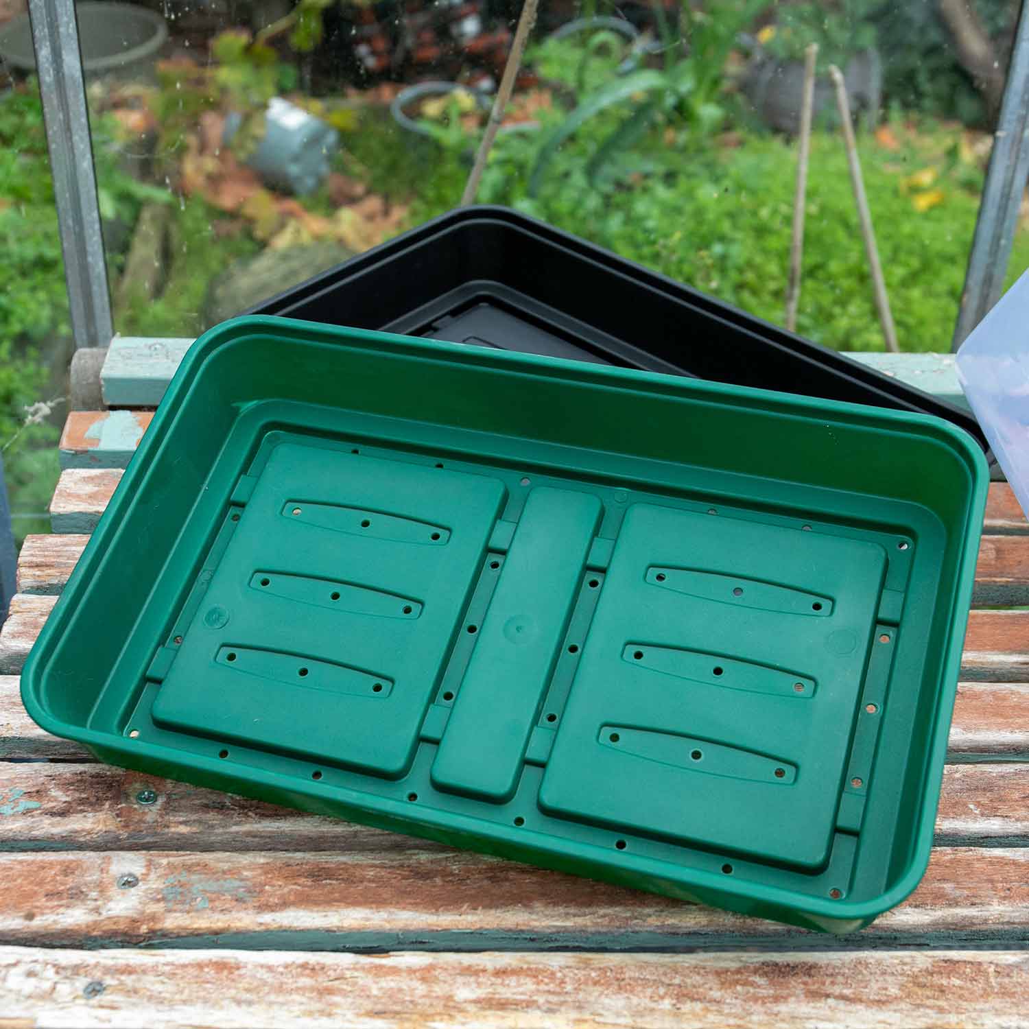 Seed Propagator Kit Medium - Image 6