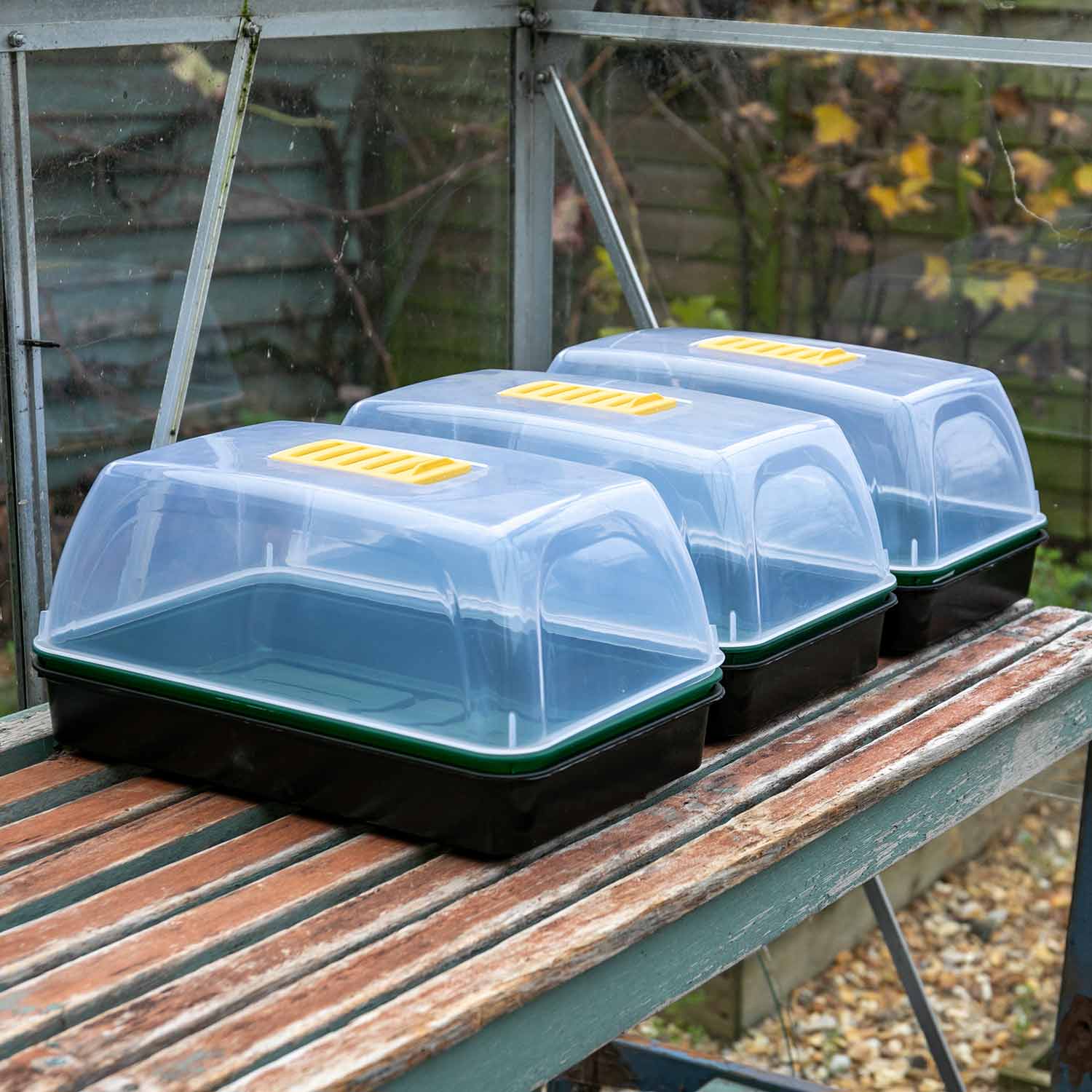 Seed Propagator Kit Medium - Image 7