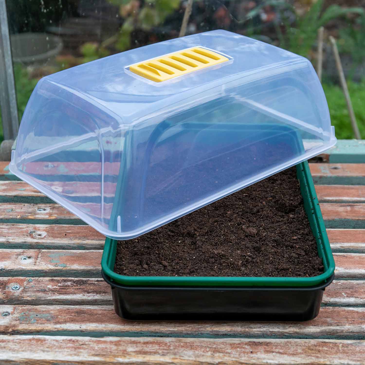 Seed Propagator Kit Medium - Image 8