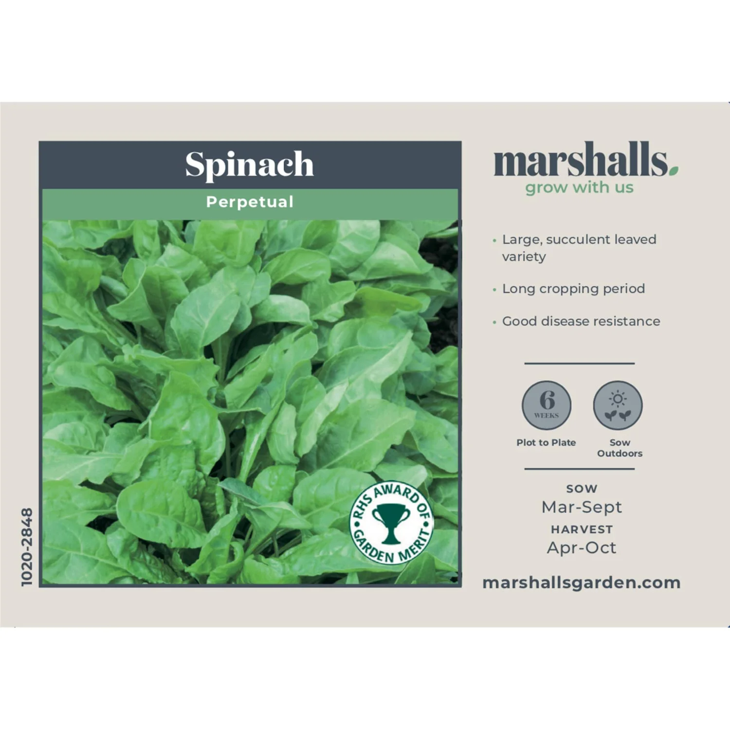 Perpetual Spinach Seeds - Image 2