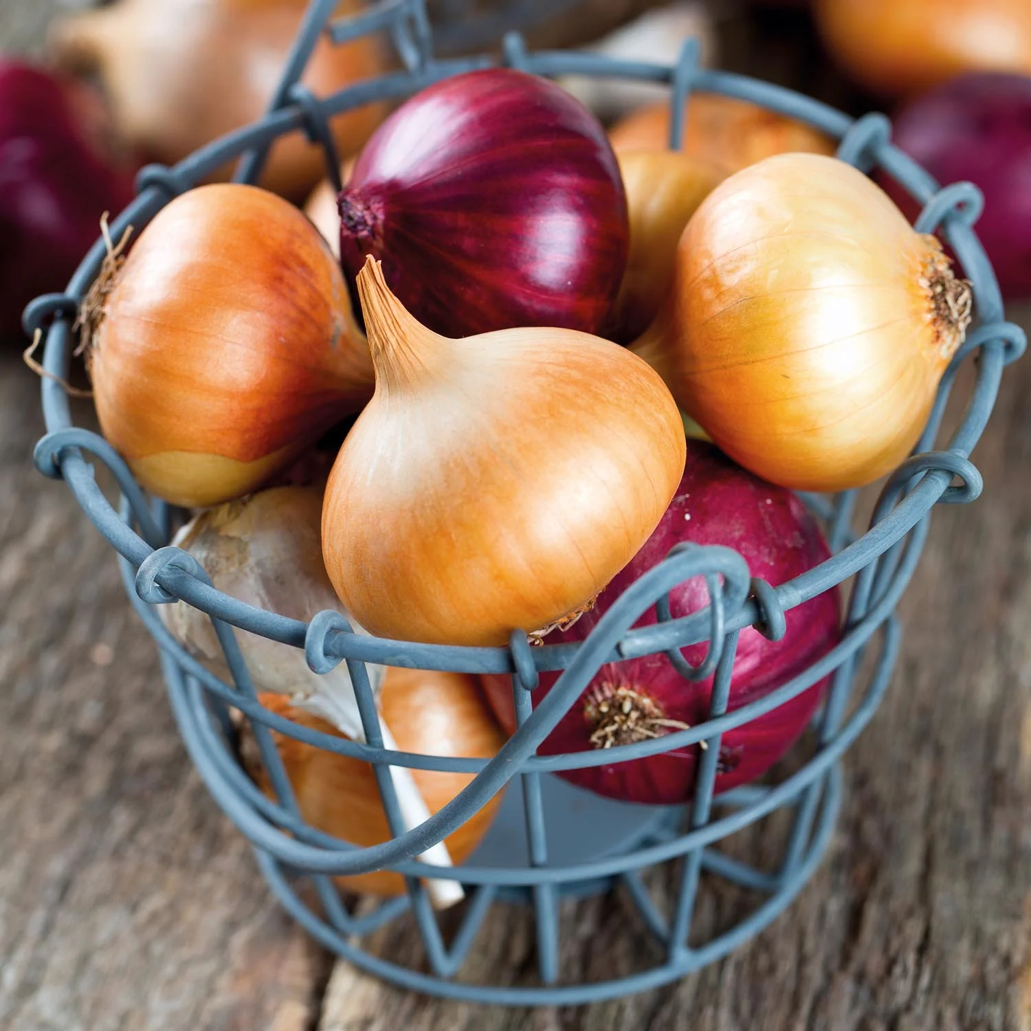 Spring Planting Onions Duo Pack - Image 11