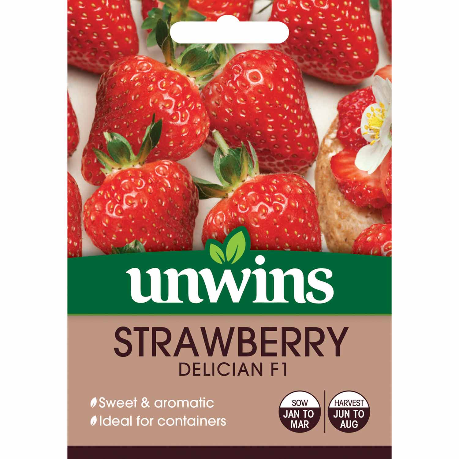 Strawberry Seeds 'Delician' F1 - Image 3